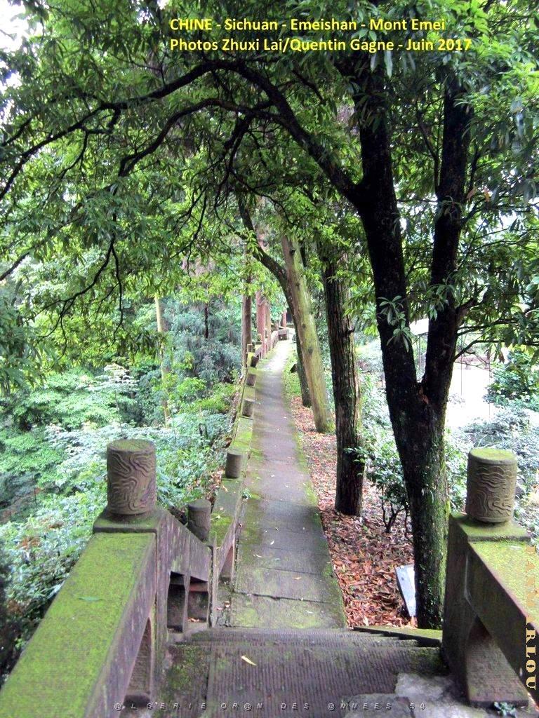 Emeishan 072.JPG